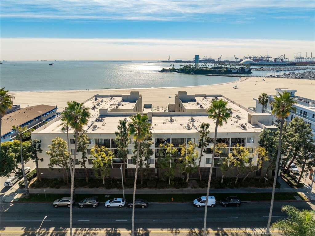 Property Photo:  1140 E Ocean Boulevard 223  CA 90802 