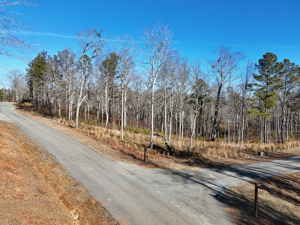 Property Photo:  Lt 143 High River Road  GA 30540 