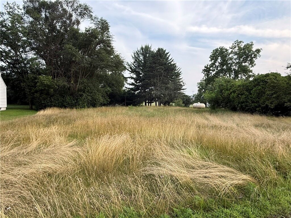 Property Photo: Lot 2 E South Ave WI 54729