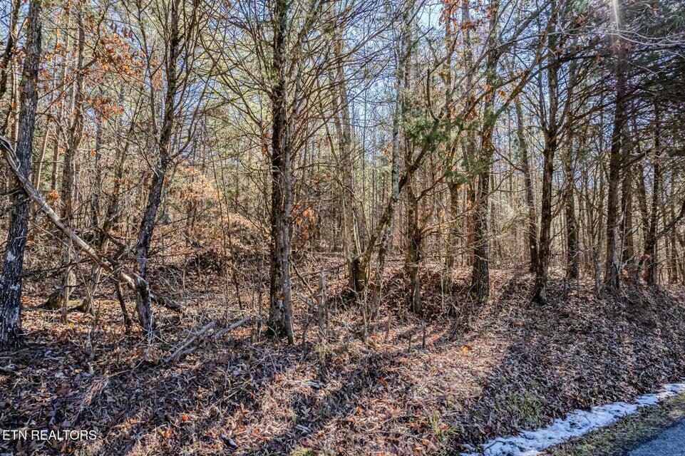 Property Photo:  5 Acres S Nopone Valley Road  TN 37322 