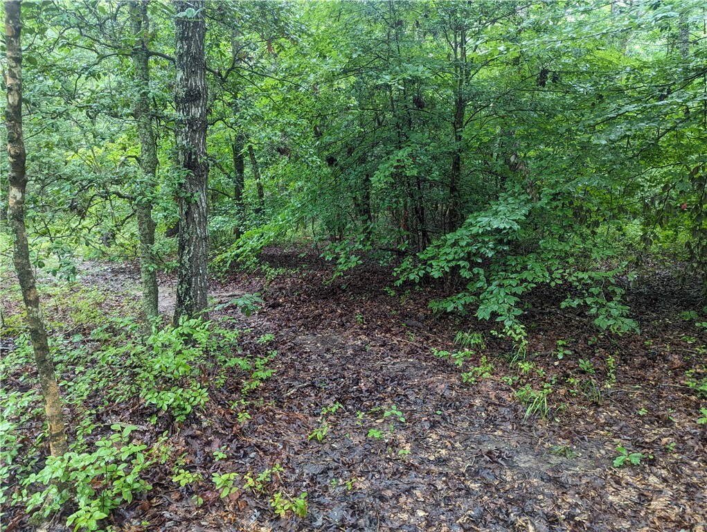 Property Photo: 0 Good Hope Road VA 23089