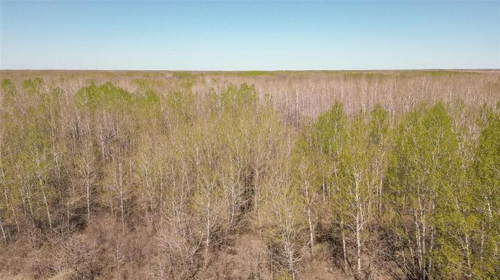 0 27 N Road  La Broquerie MB R0A 0W0 photo