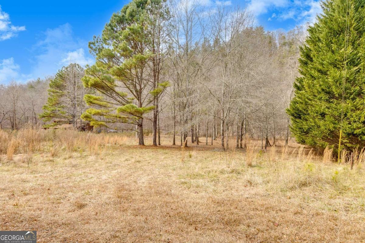 Property Photo:  0 Meadow Lane  GA 30175 