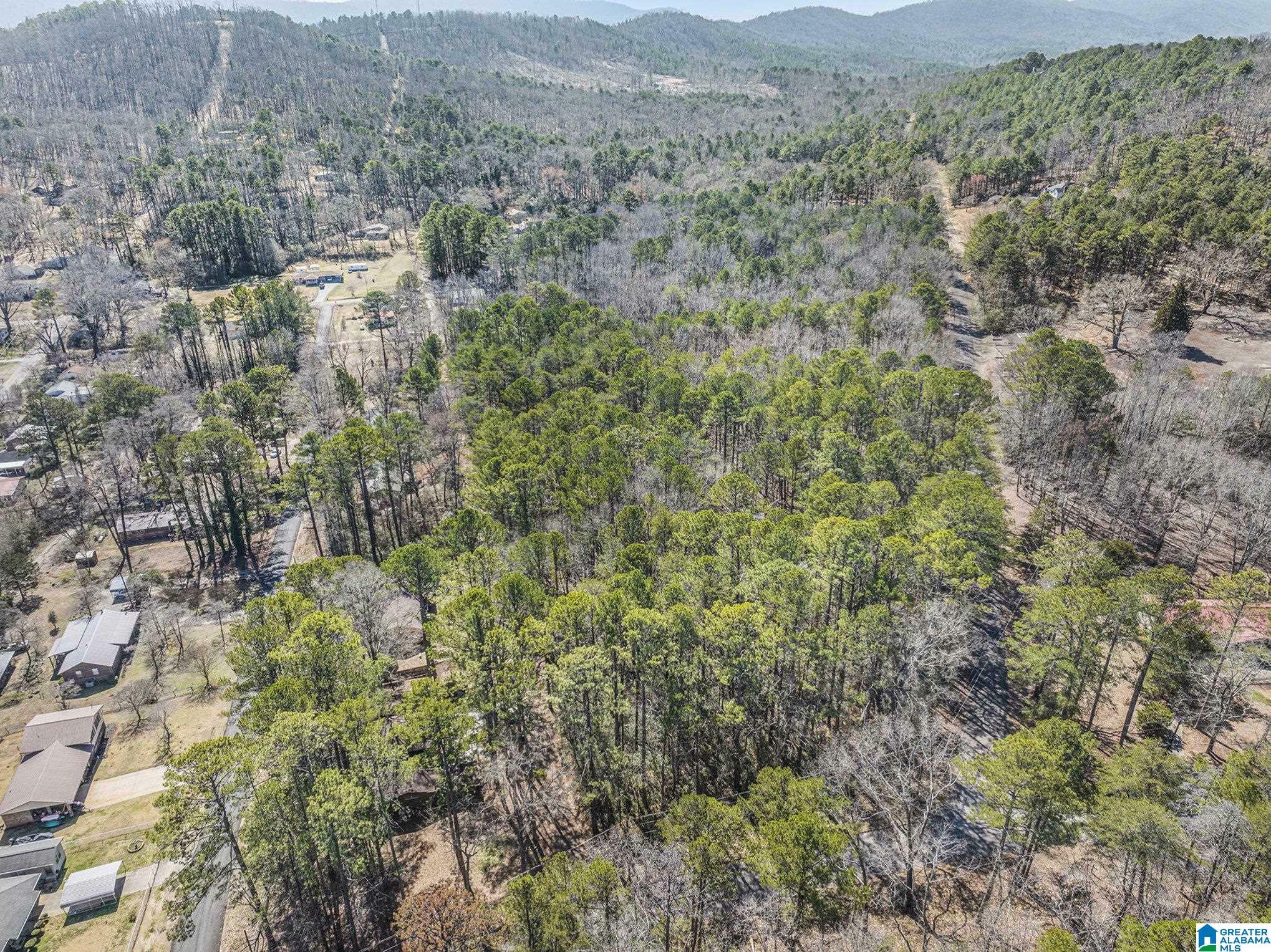 Property Photo: 0 Oak Ridge Lane 0 AL 36272