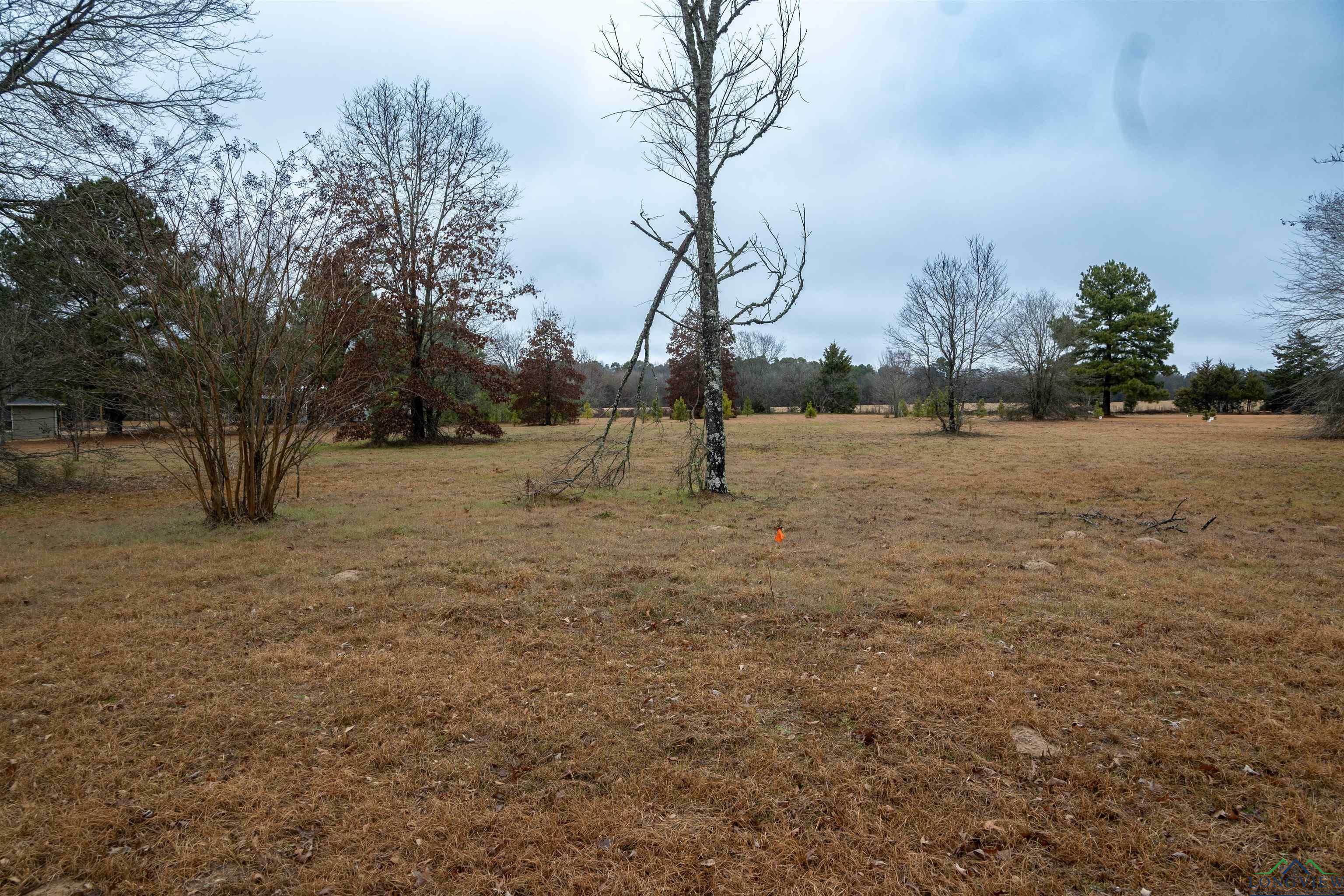 Property Photo:  Tbd Cr 3271  TX 75773 