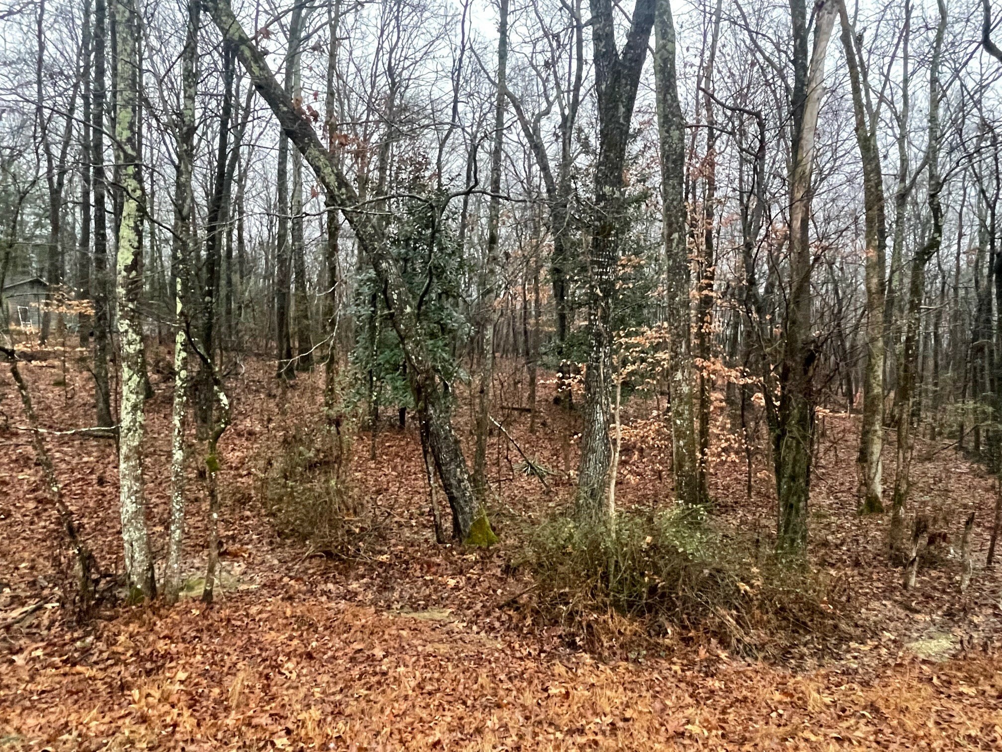 0 Oak Leaf Cir  Winchester TN 37398 photo