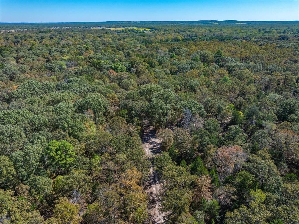 Property Photo:  Tract 3 Pvt Rd 8079 Road  TX 75754 