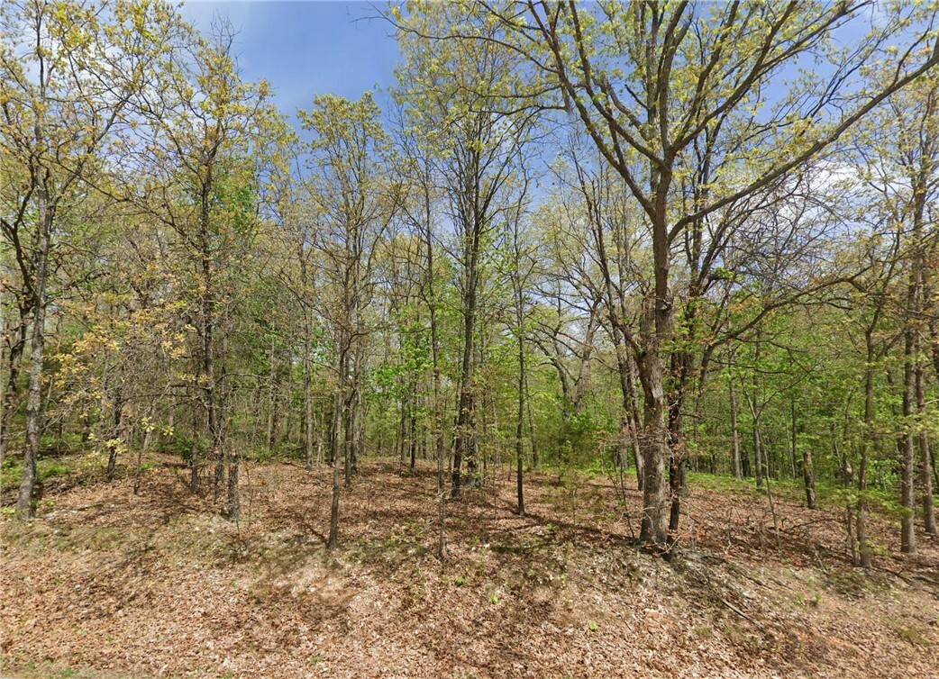 Property Photo:  Lot 3 Cargill Drive  AR 72715 