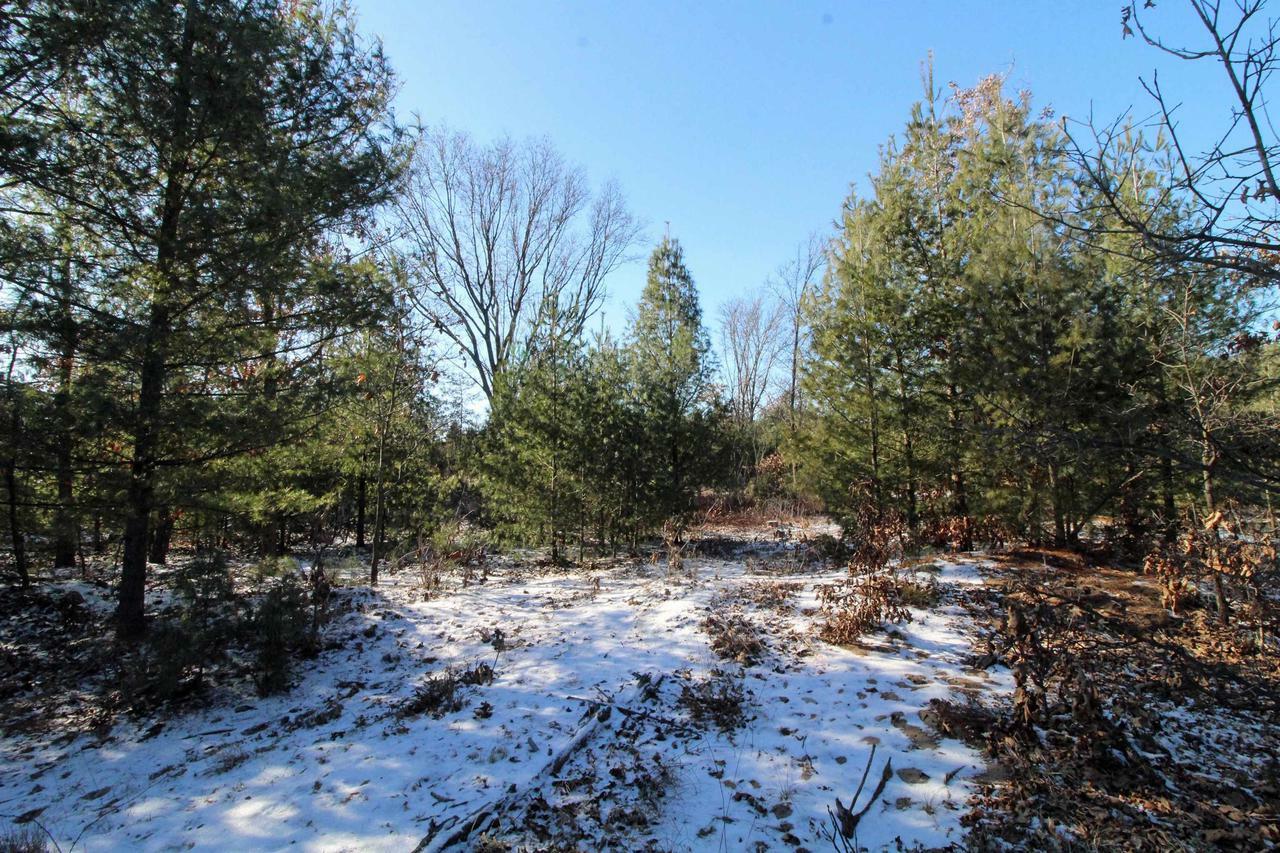 Property Photo:  Lot20 Timber Trail  WI 53588 