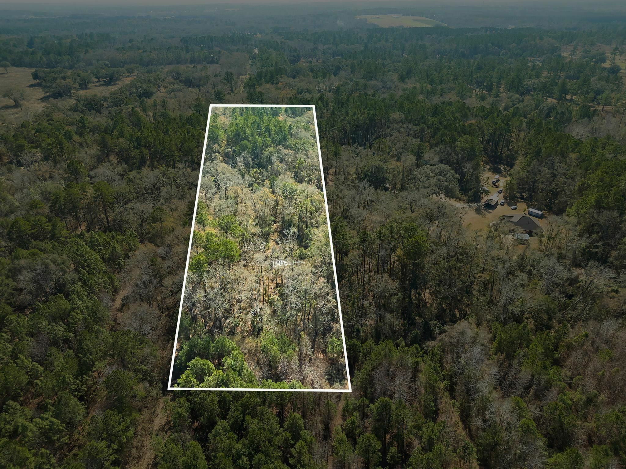 Property Photo: 15196 Casland Trail FL 32309