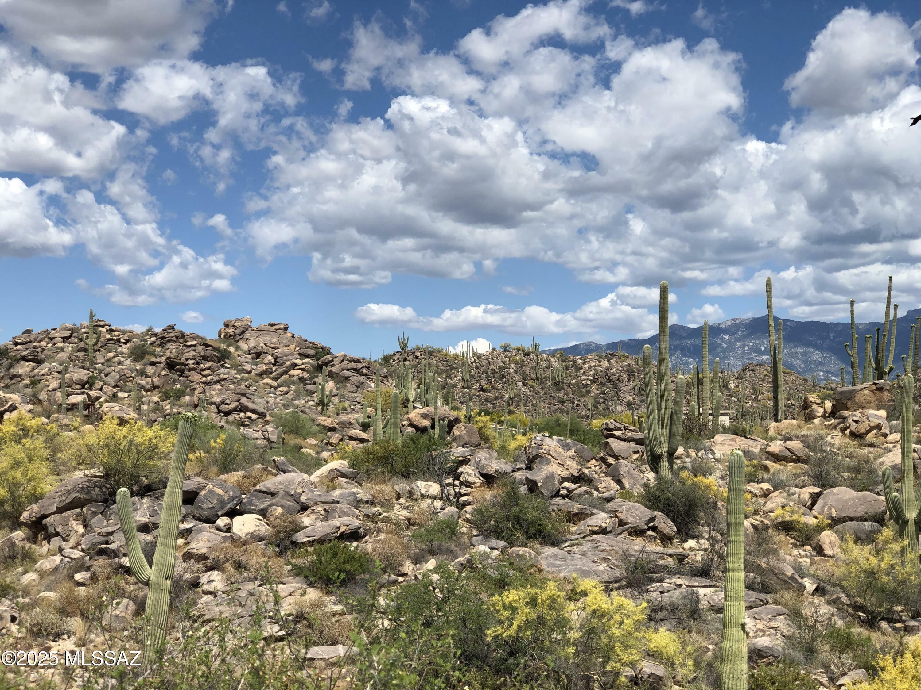 Property Photo: 1194 W Tortolita Mountain Circle 194 AZ 85755