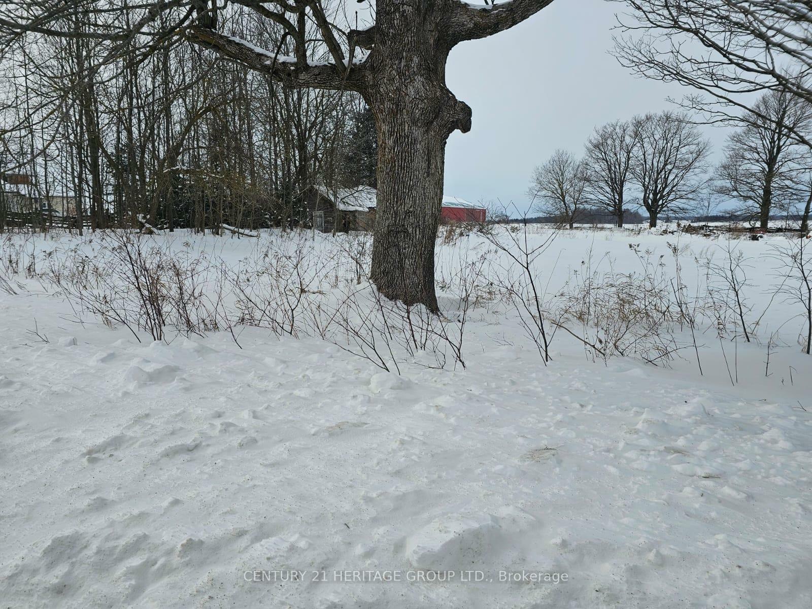 Property Photo: 682363 260 Side Road ON L9V 2N1