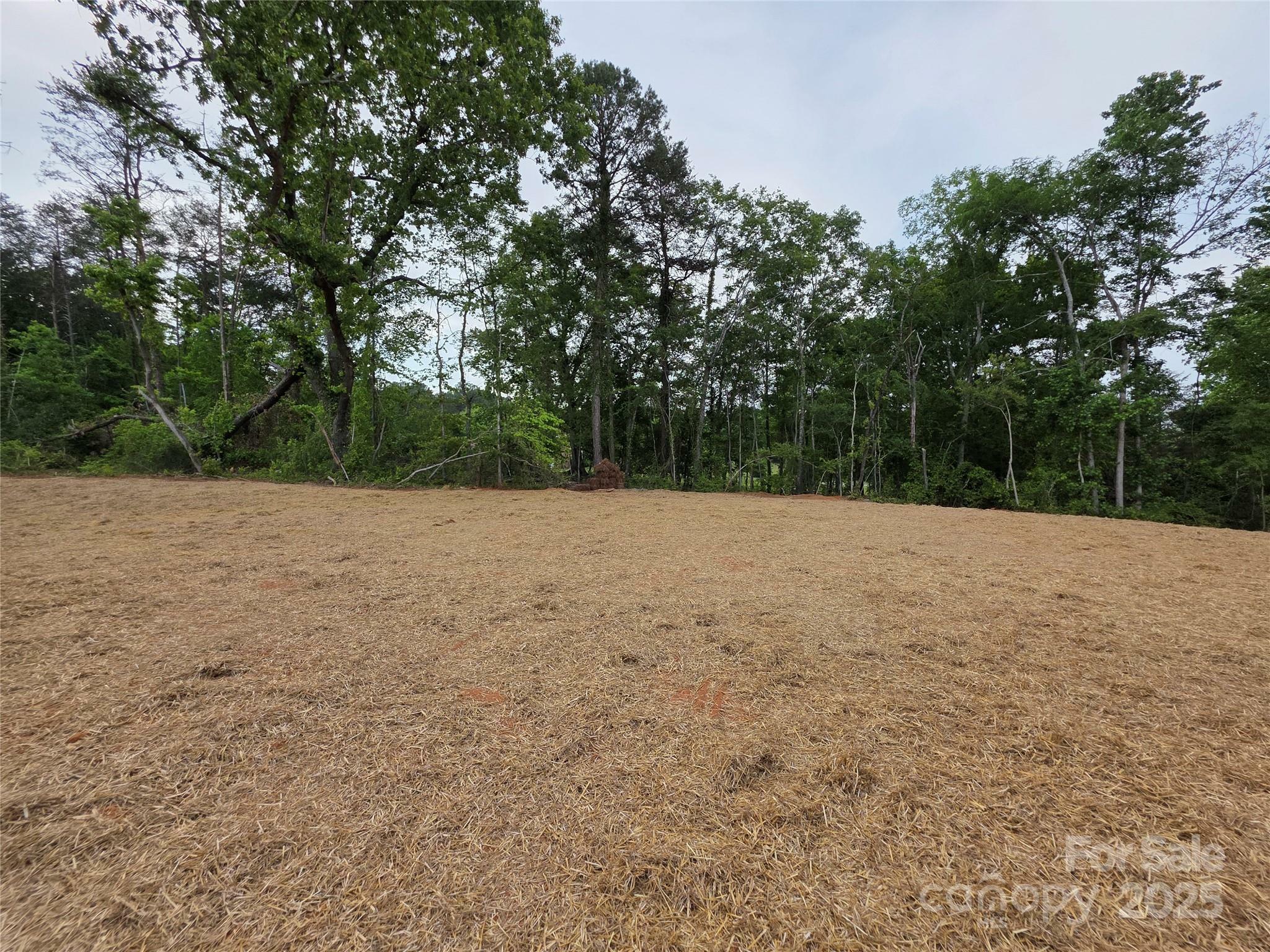 Property Photo: 211 Benfield Road NC 28086