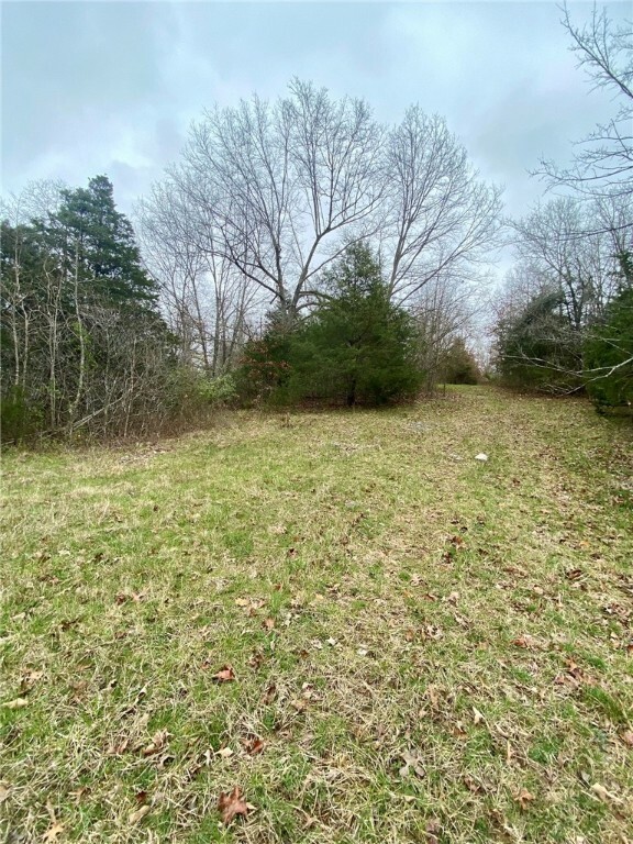 Property Photo:  Lot 1 Old Capps Road  AR 72601 