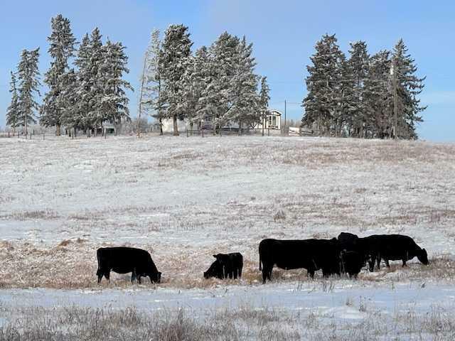 Photo de la propriété:  252036 Township Road 431  AB T4J 1R1 