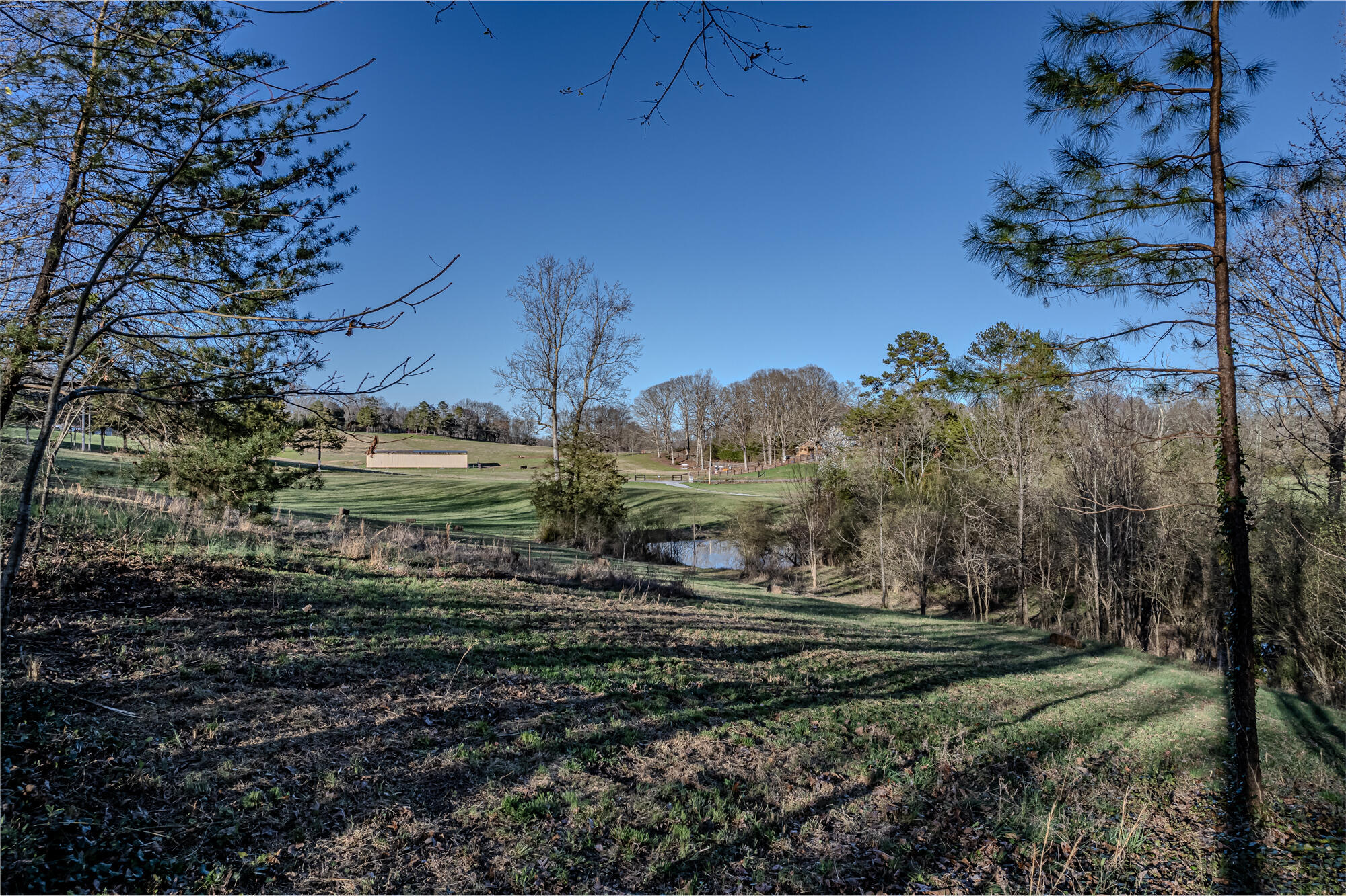 13.92 Acre County Road 728  Riceville TN 37370 photo