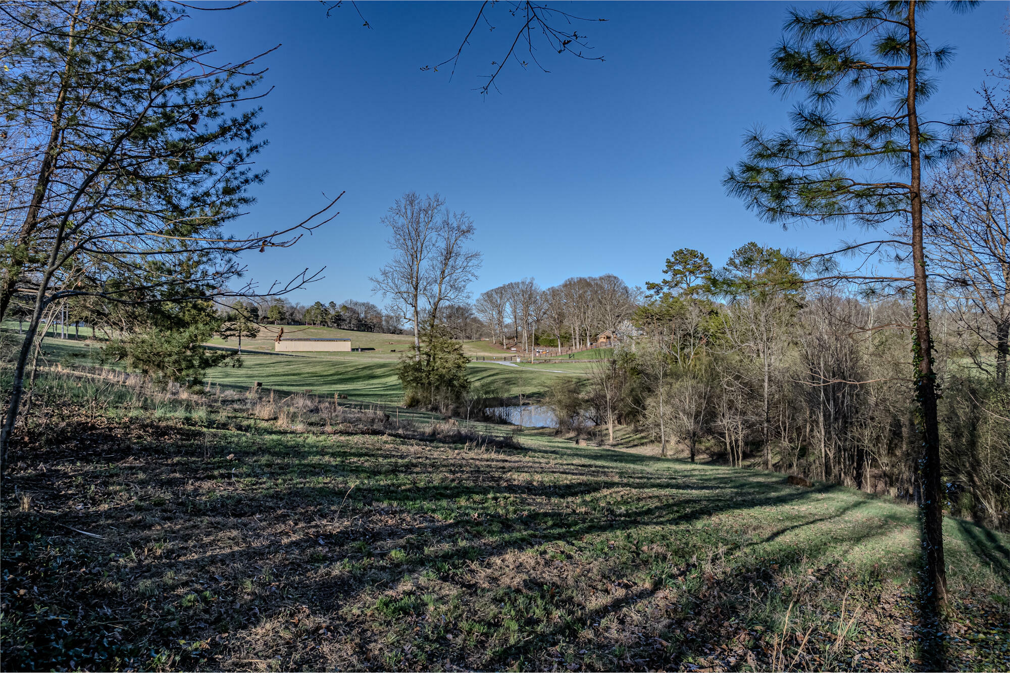 Property Photo:  13.92 Acre County Road 728  TN 37370 