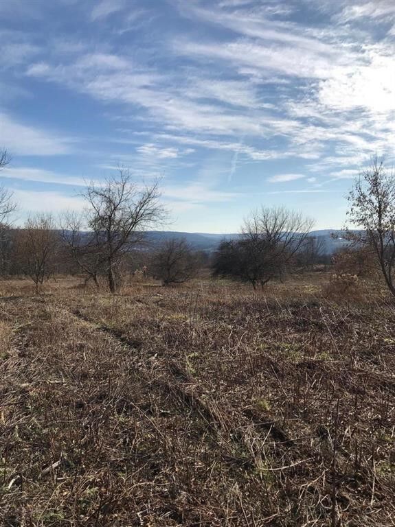 Property Photo: 0 Mecklenburg Road NY 14850