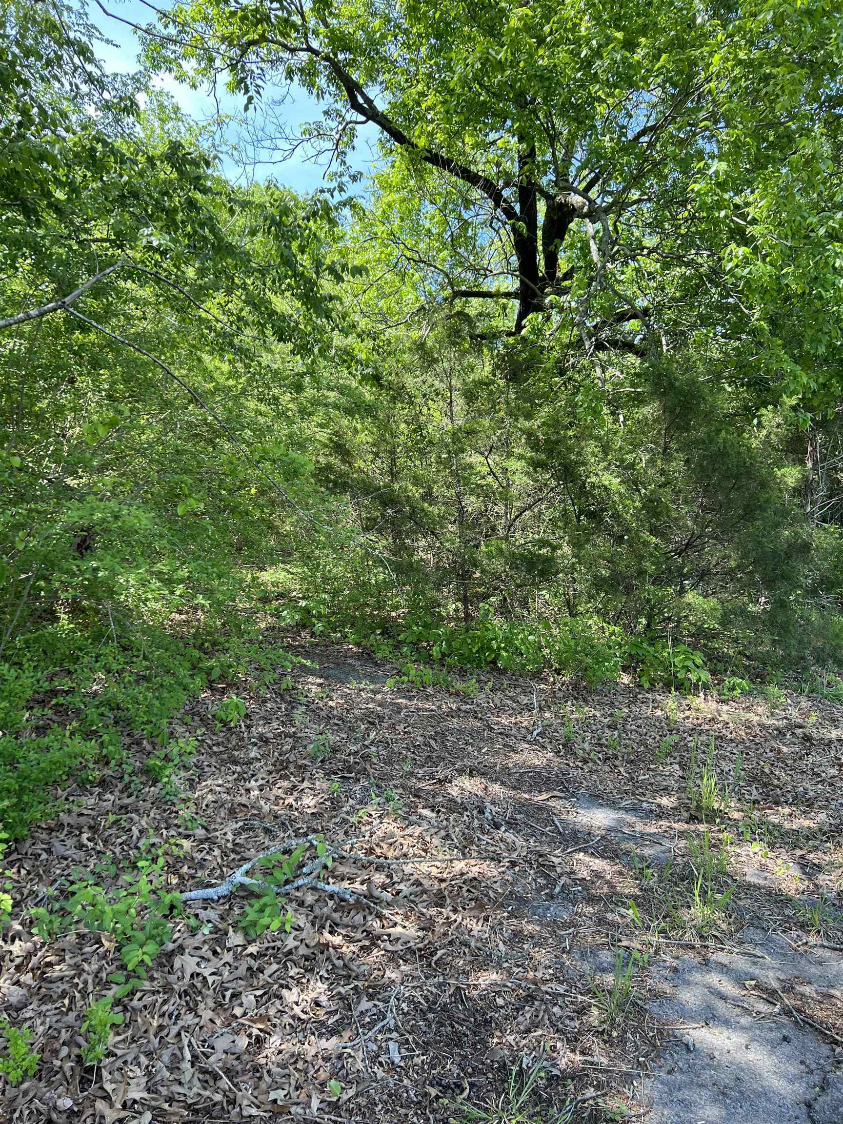 Property Photo: 508 N Center AR 72543