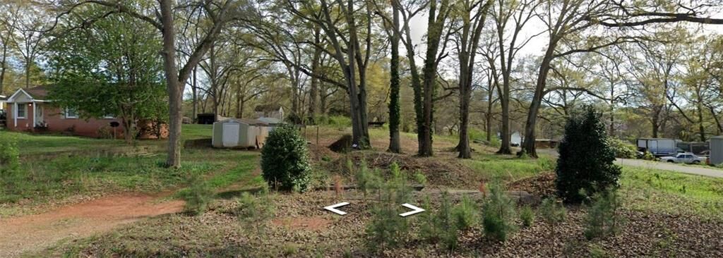Property Photo: 307 W County Road GA 30286