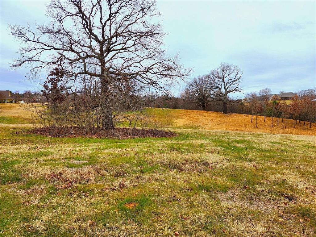 Property Photo: Lot 125 Clear View Court TX 75752