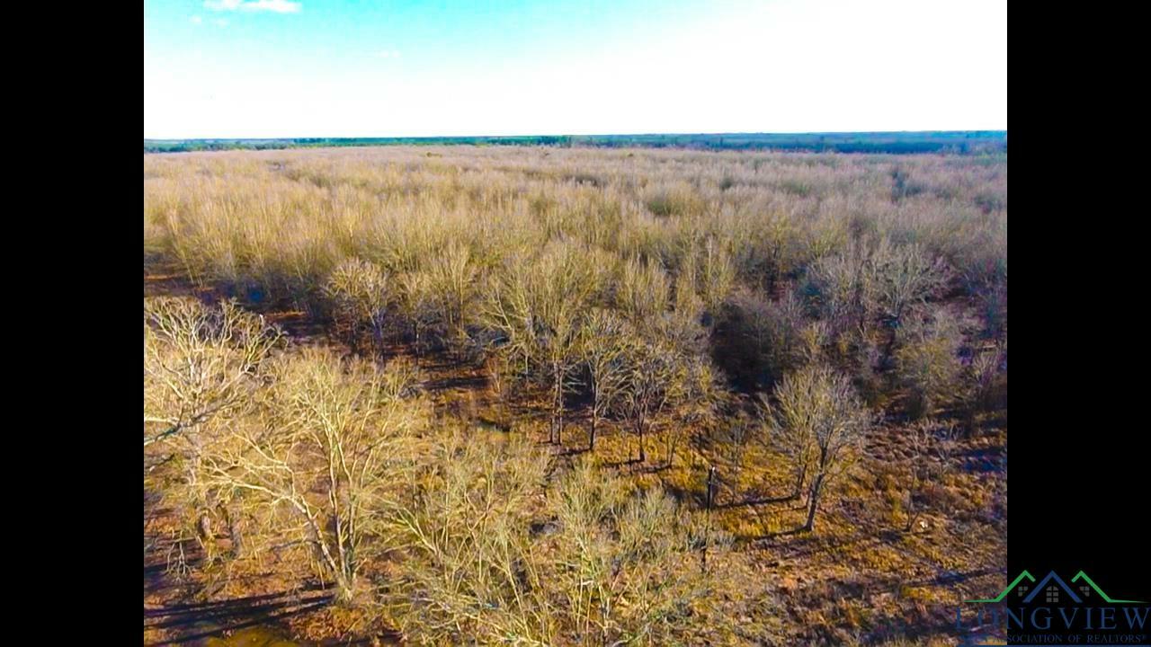 Property Photo:  Tbd Fm 195 Lot 19  TX 75412 