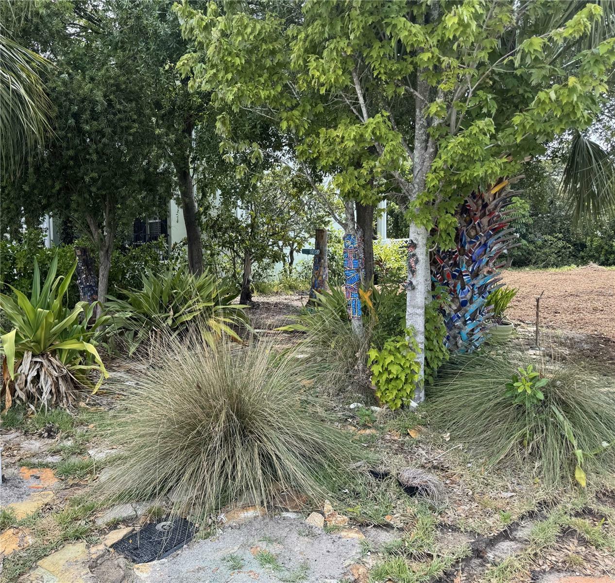 Property Photo: 830 S Davis Boulevard FL 33606