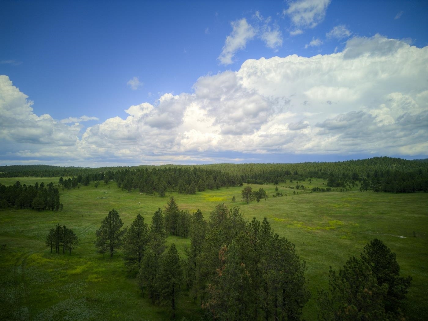 Hopkins Flats  Pringle SD 57730 photo