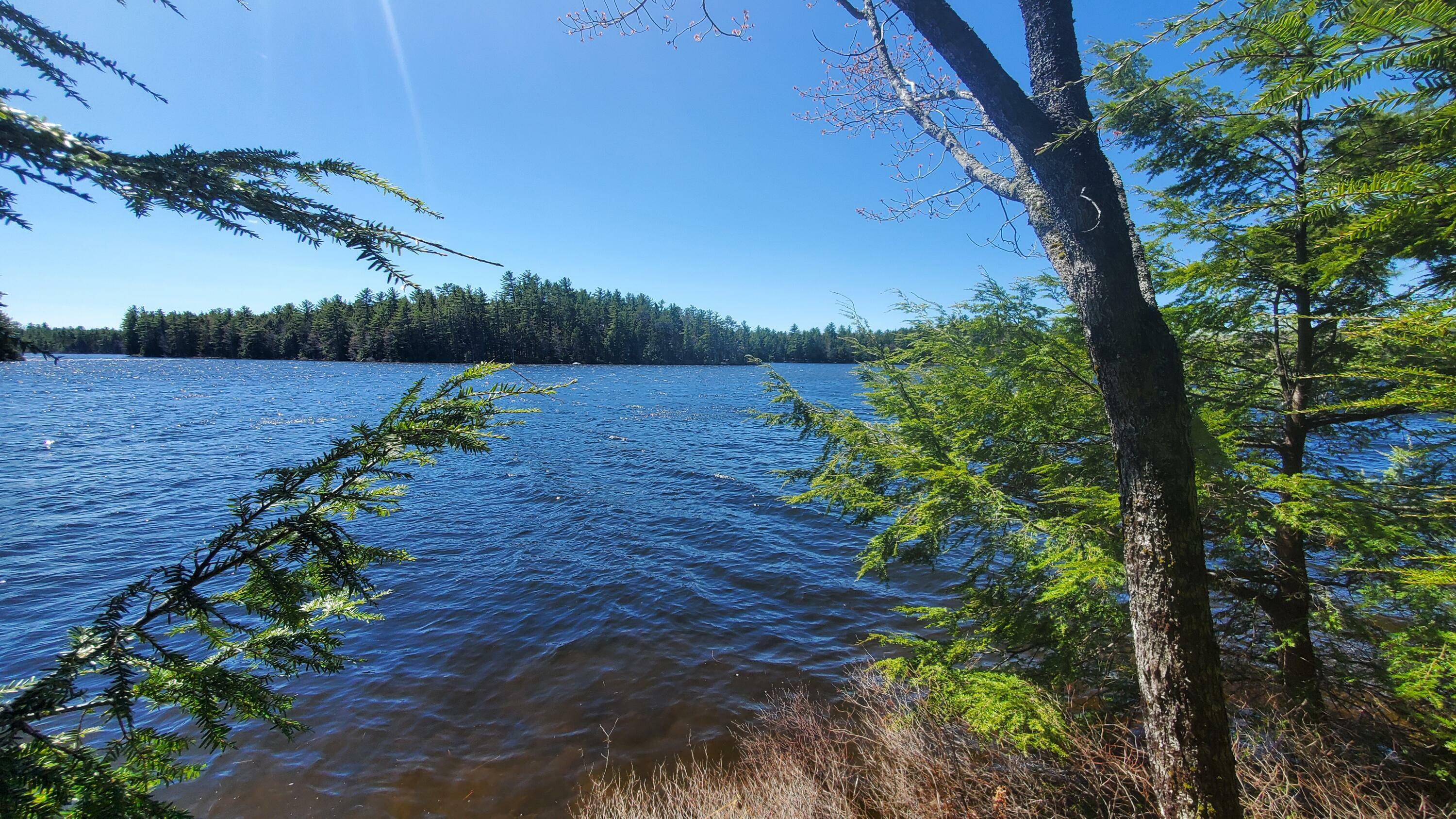 Property Photo: 307 Lakeville Shores Road ME 04487