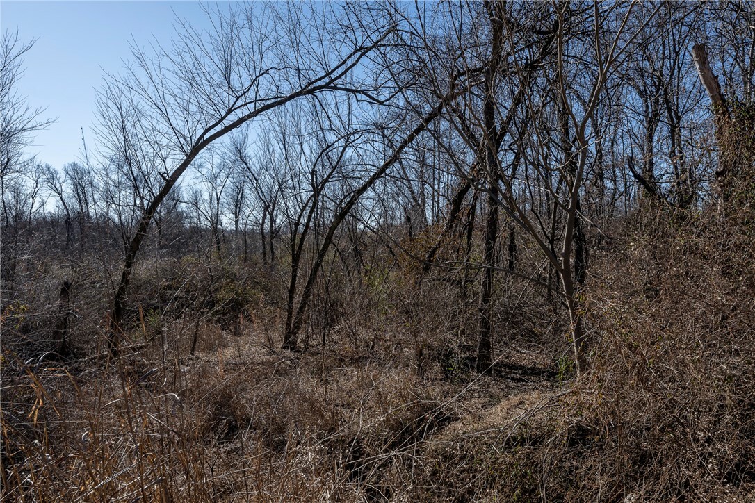 Property Photo:  Tbd - Track 3 Stillhouse Springs Road  AR 72713 