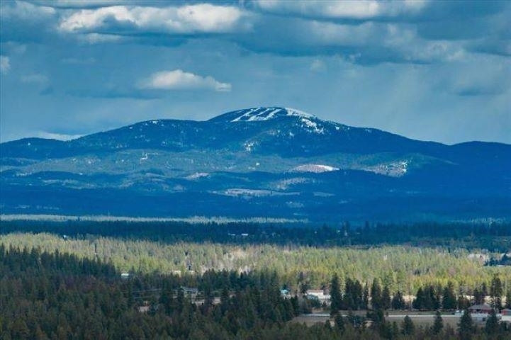 Property Photo:  Nka Dalton Rd. Parcel # 28353.9077 Rd  WA 99006 