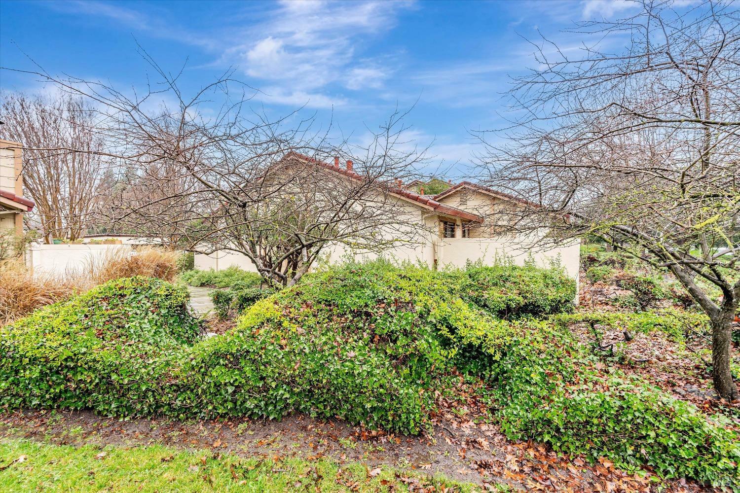 Property Photo:  226 Park Place Drive  CA 94954 