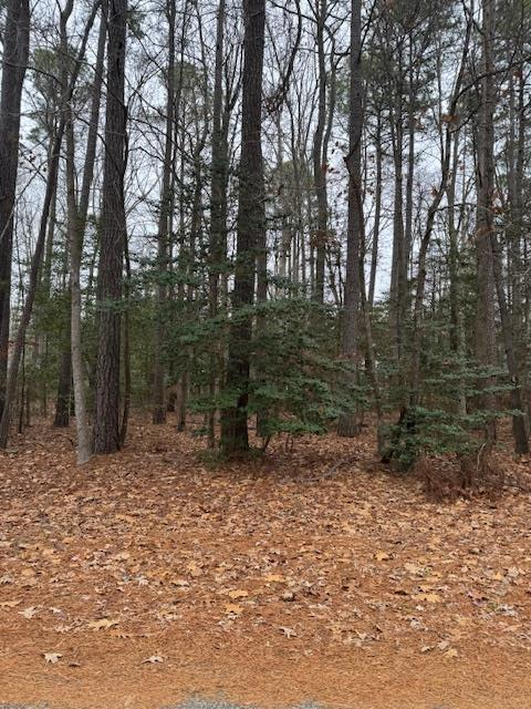 Lot 74 Pieces Of Eight  Greenbackville VA 23365 photo