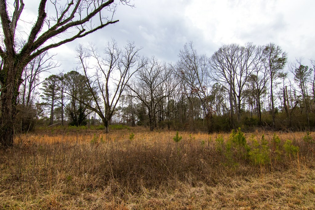 Property Photo:  0 Salem Road  GA 31822 