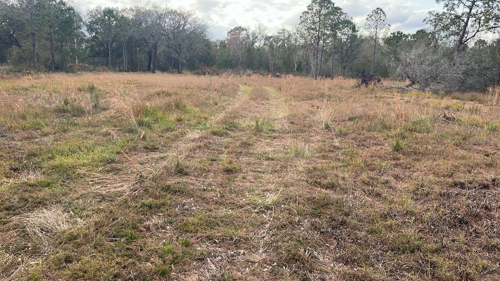 Property Photo:  Kelly Ridge Road  FL 33843 