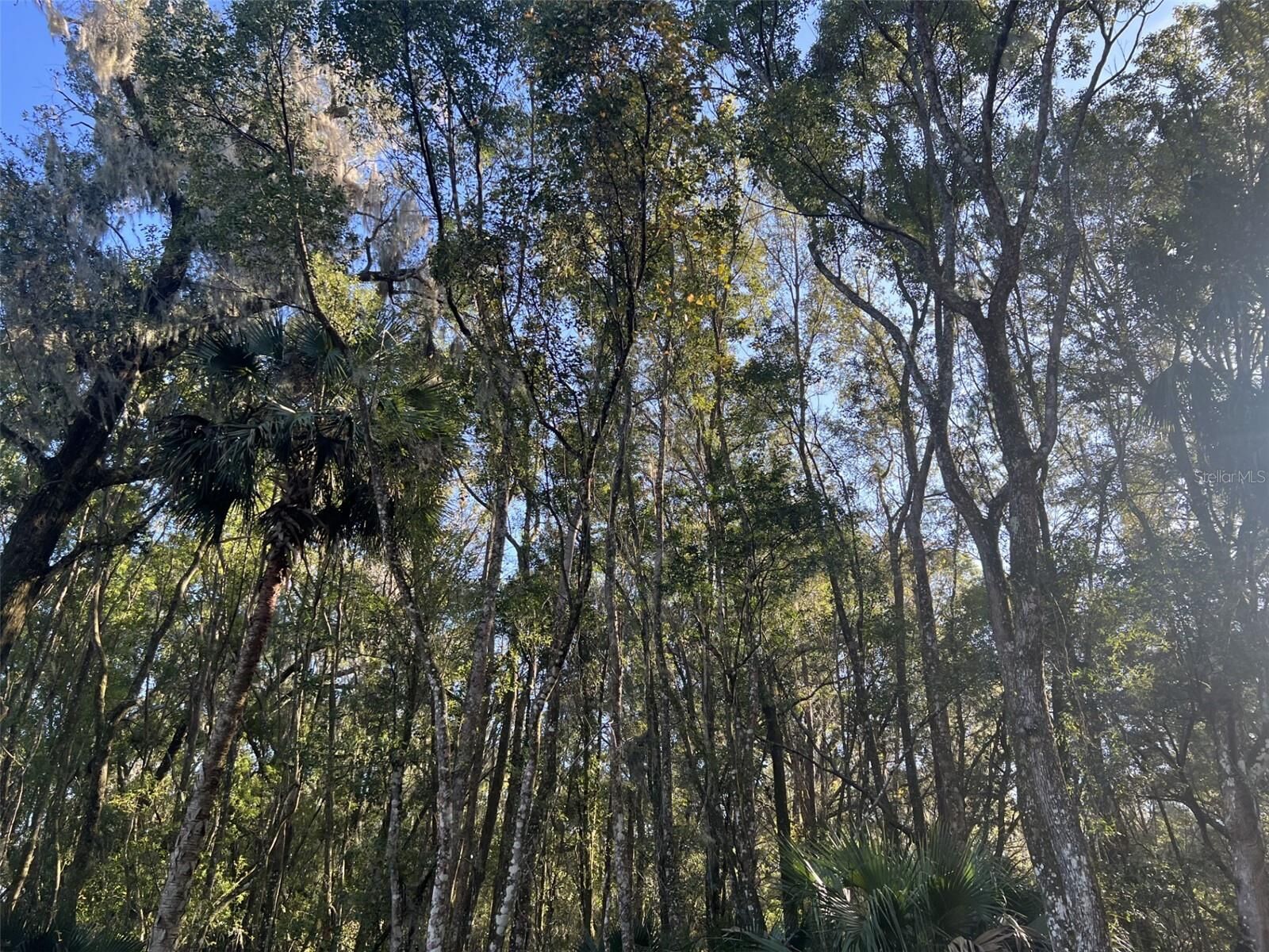 Property Photo: E Ohio Avenue FL 32744