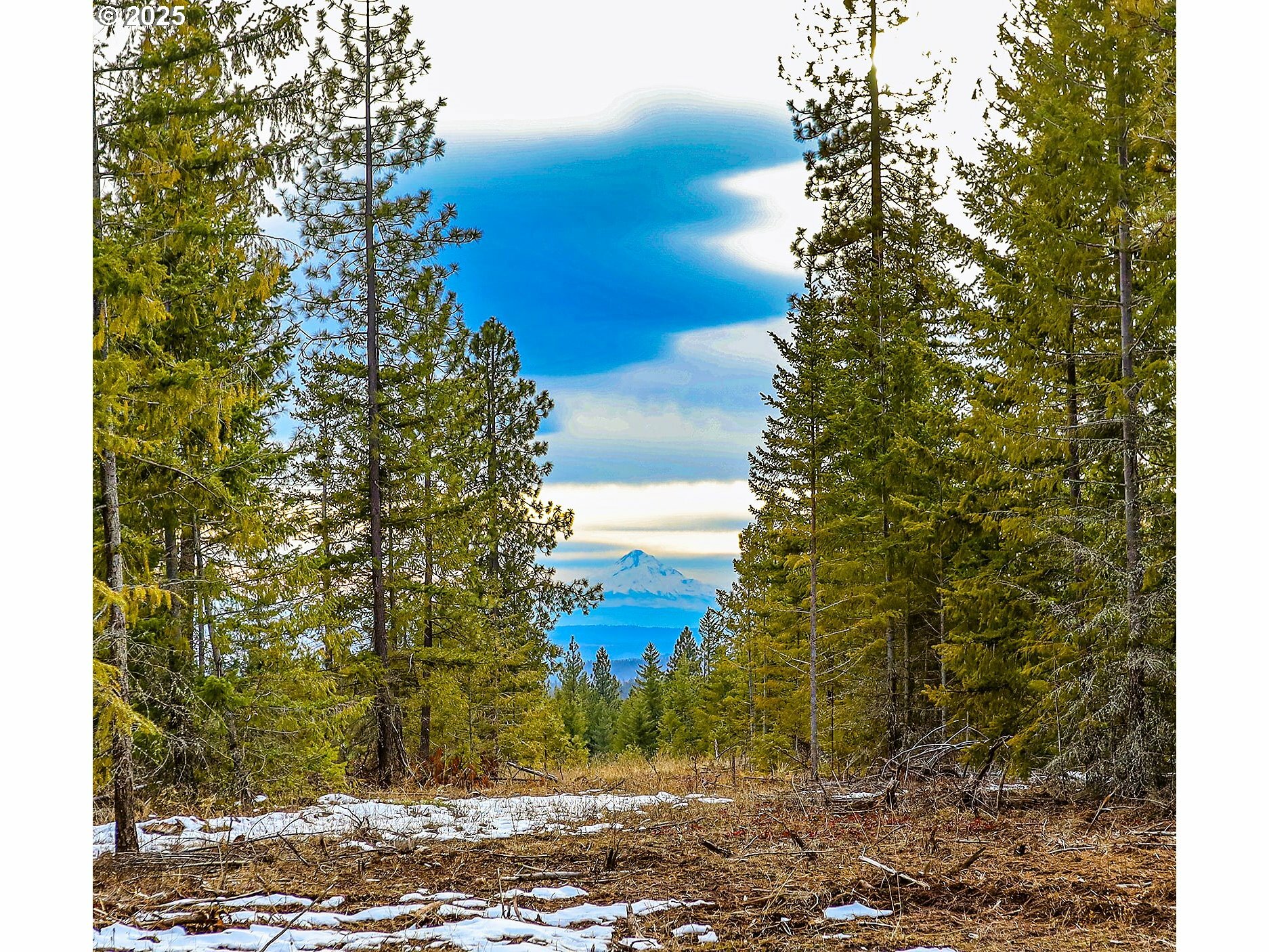 Property Photo:  Ranger Rd - Lot 1A  WA 98620 