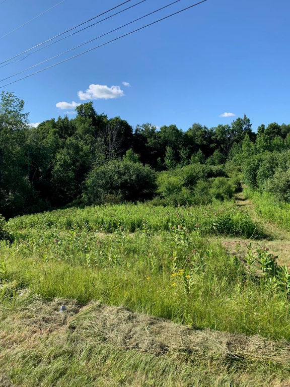 0 County Road 16  Watkins Glen NY 14891 photo