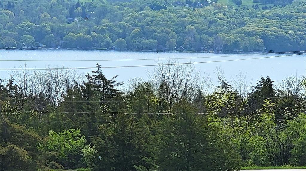 Property Photo: 00 N.y.s. Rt. 14 NY 14837