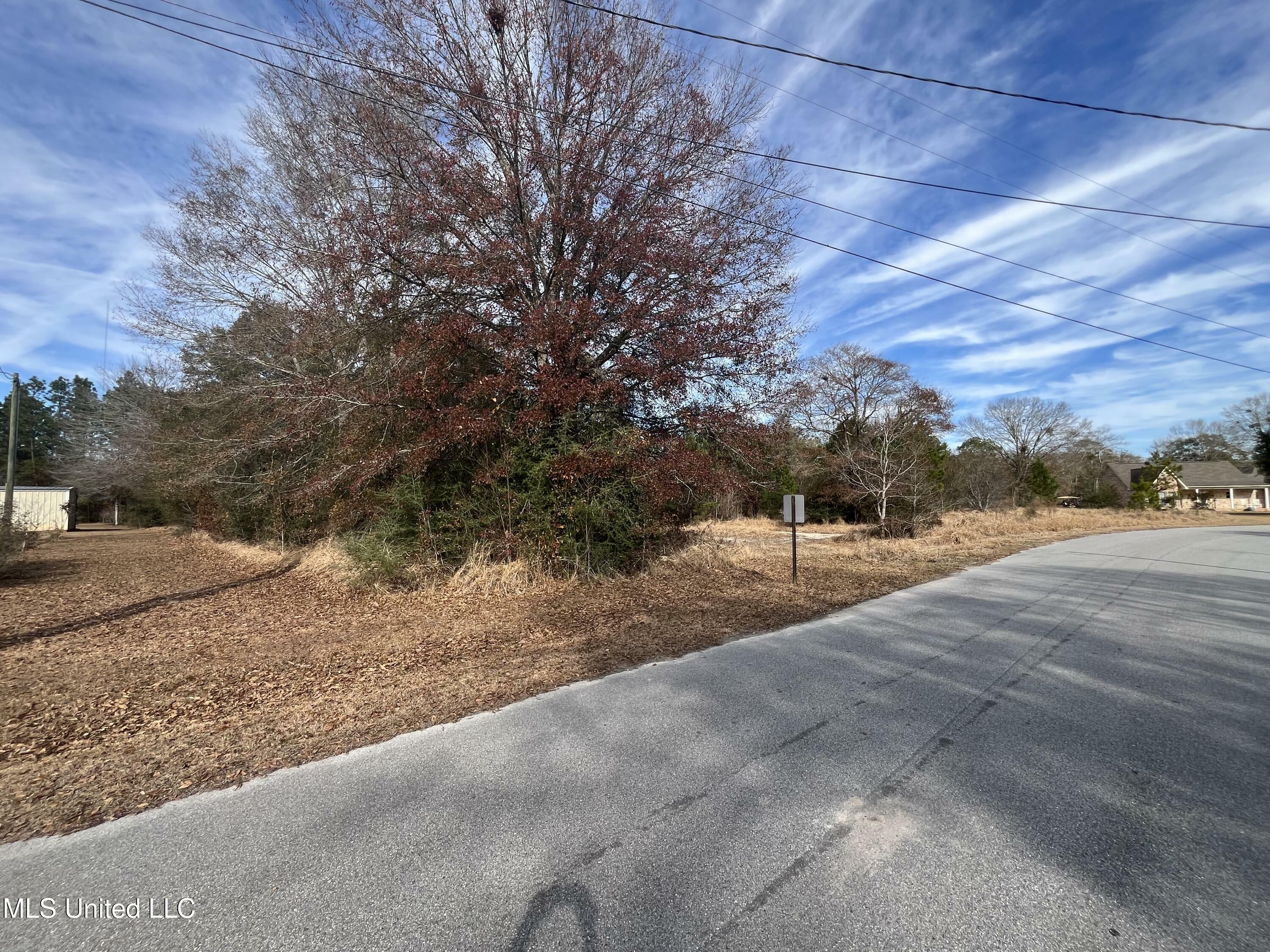 Property Photo:  9473 Dunn Road  MS 39562 