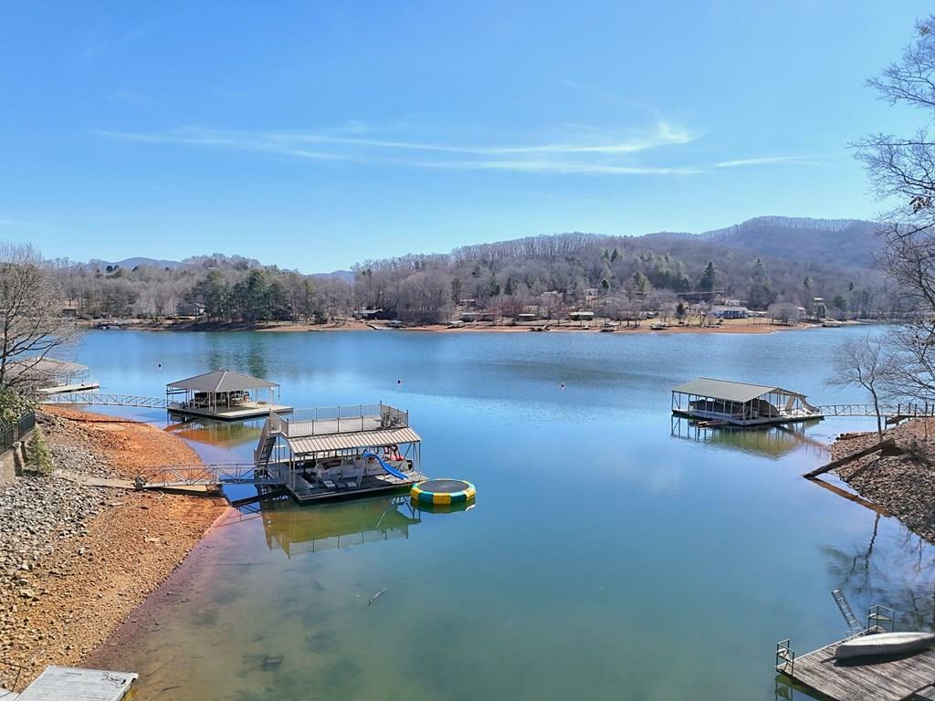 520 Long View Drive  Hiawassee GA 30546 photo