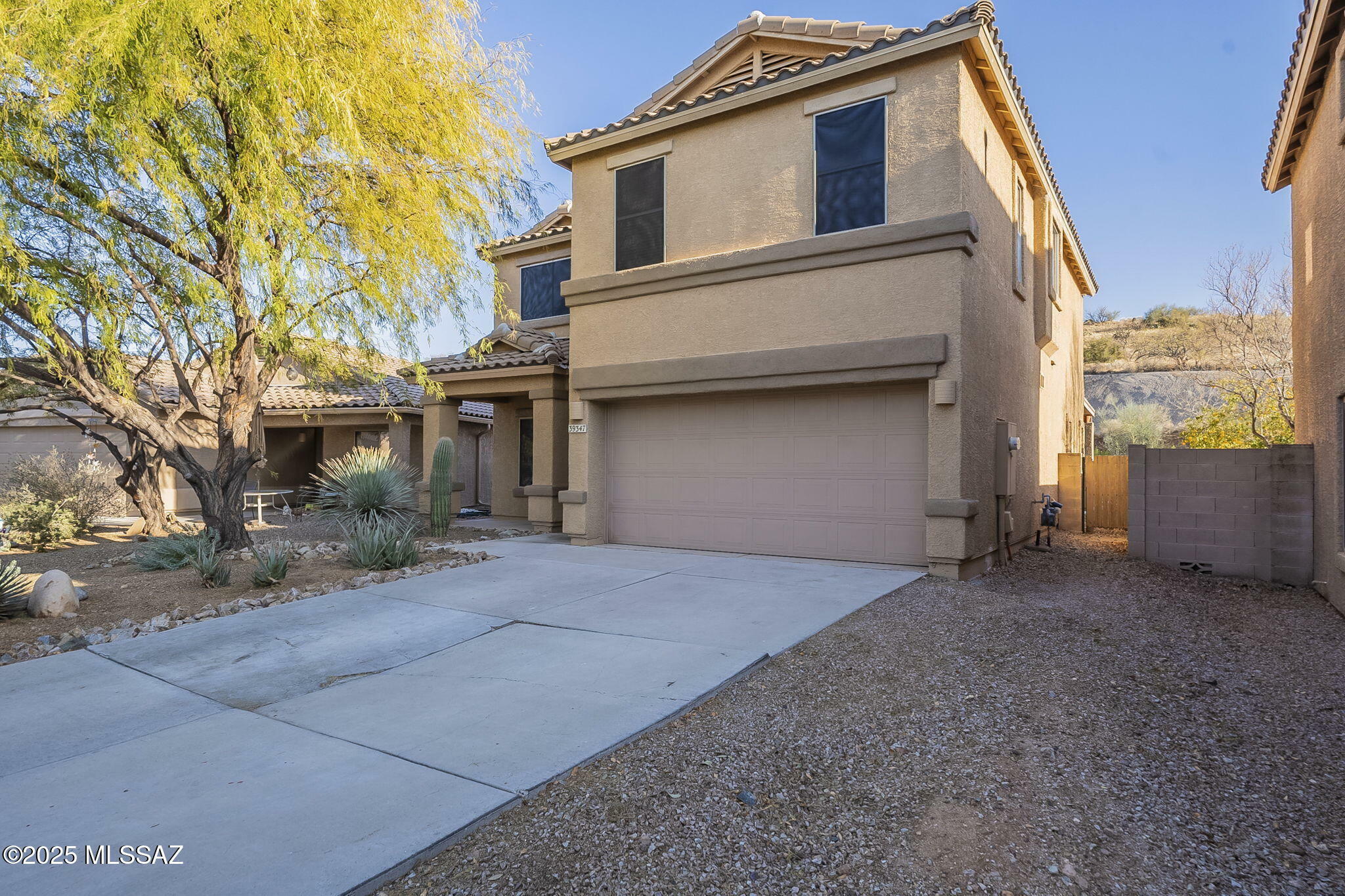 Property Photo:  39347 S Old Arena Drive  AZ 85739 