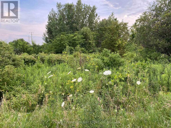Property Photo:  Lot 29 McDonald Drive  ON K0K 2T0 