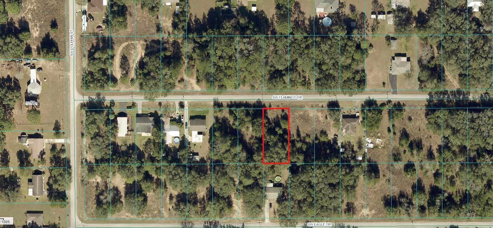 Property Photo:  00 SW Flamingo Drive  FL 34431 