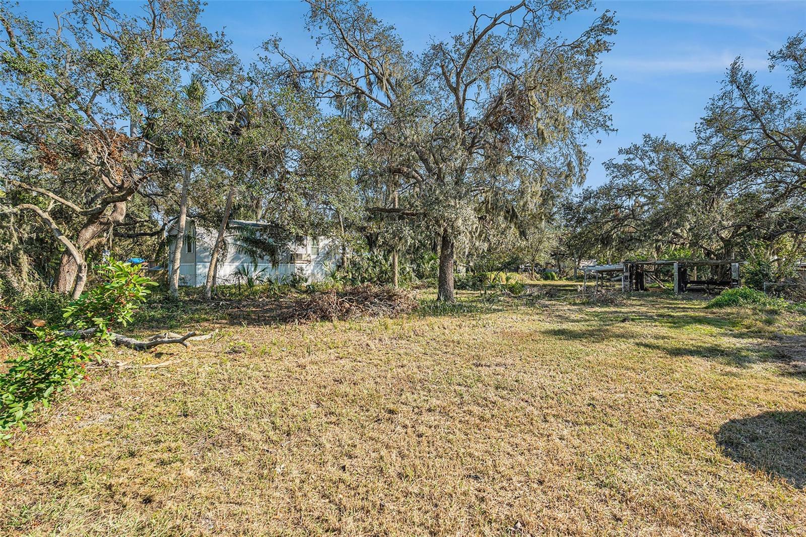 Property Photo: 0 Palm Avenue FL 33534
