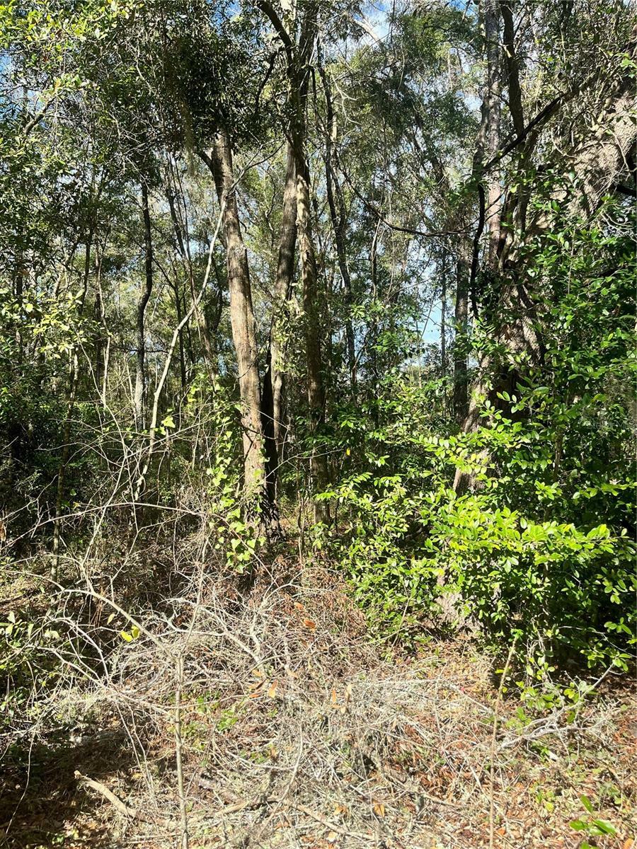 Property Photo:  Tbd NW 65th Court  FL 34482 