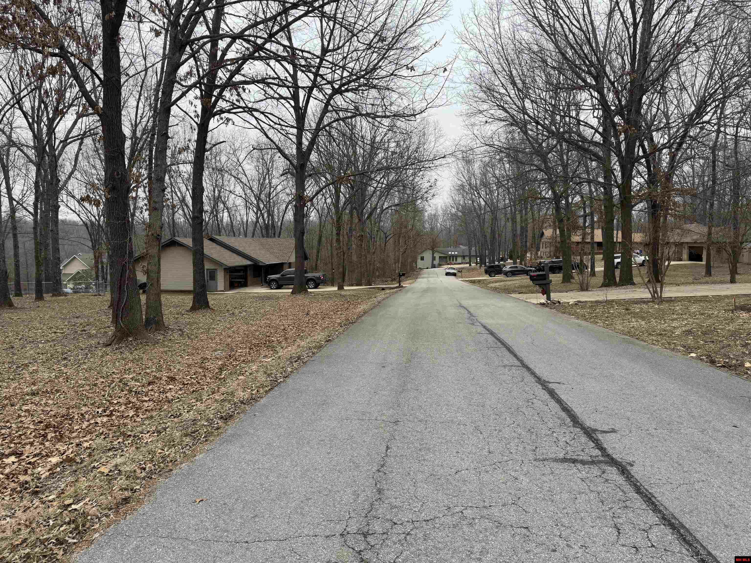 Property Photo: Lot 46 Aspen Drive AR 72653