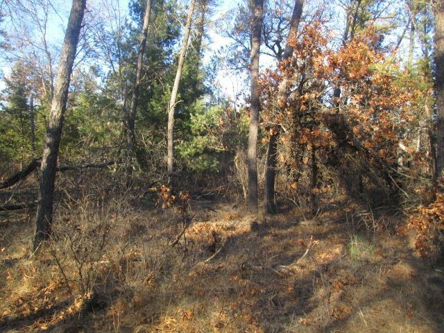 Property Photo: 0 State 13 Road WI 53934
