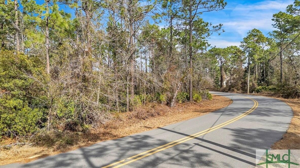 Property Photo:  51 Pine Forest Drive  GA 31546 