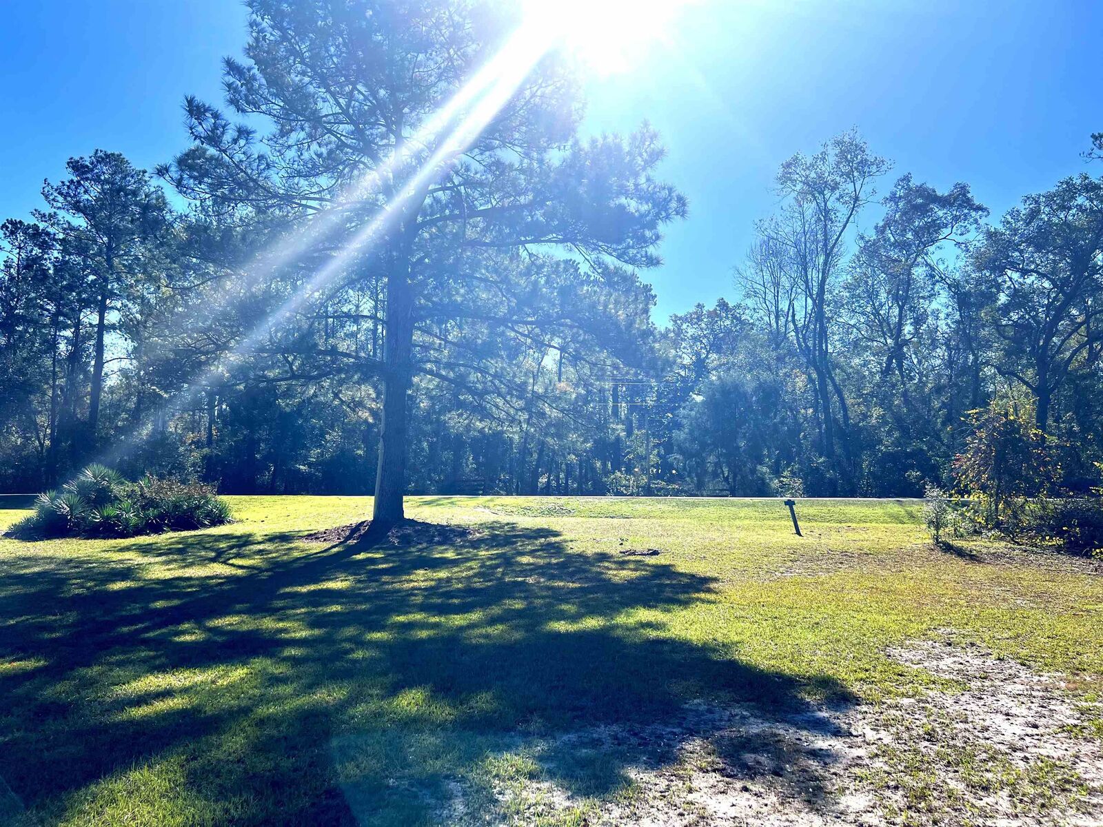 Property Photo: 000 Steen Road FL 32344